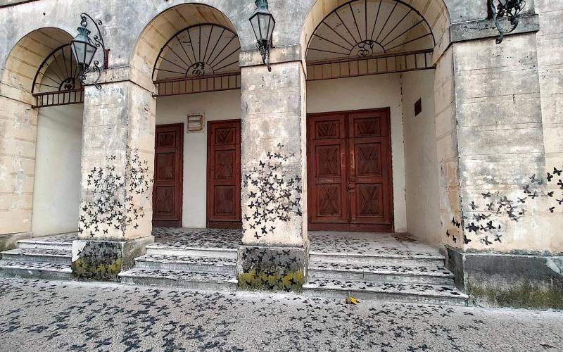 Bassanonet.it Stile Farfalla