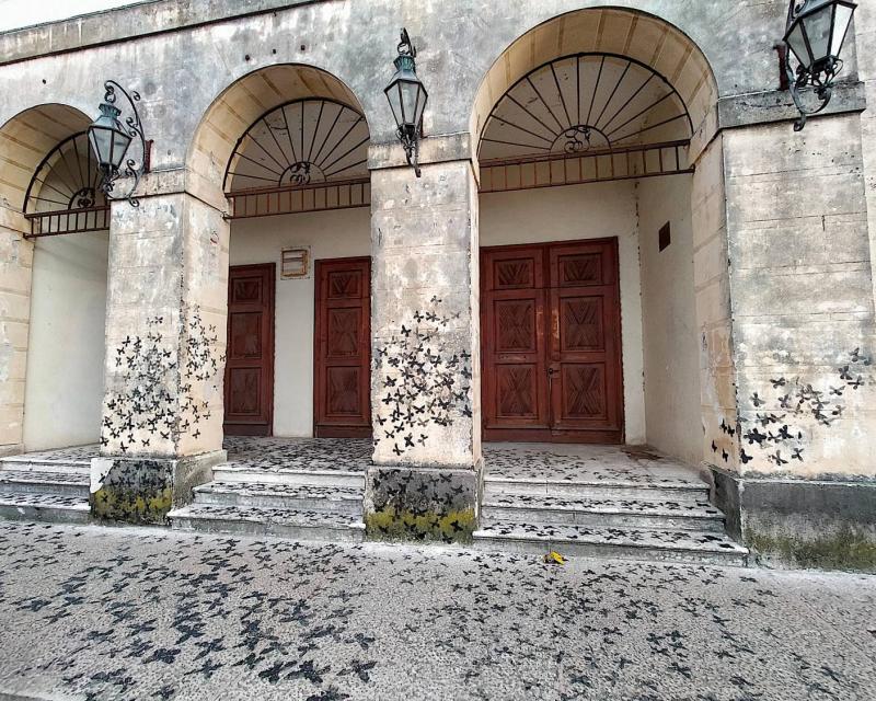 Bassanonet.it Stile Farfalla