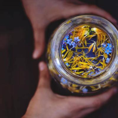 Bassanonet.it Riti e pozioni magiche: ecco i segreti della notte di San Giovanni