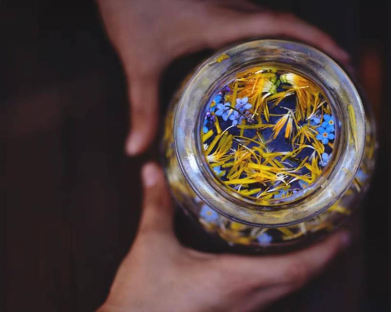 Bassanonet.it Riti e pozioni magiche: ecco i segreti della notte di San Giovanni