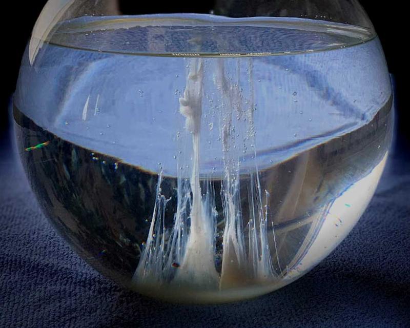 Bassanonet.it La barca di San Pietro svela il tuo futuro