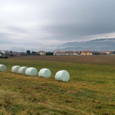 Bassanonet.it Campi di battaglia