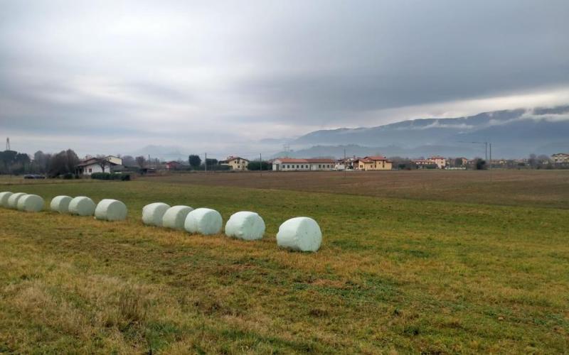 Bassanonet.it Campi di battaglia