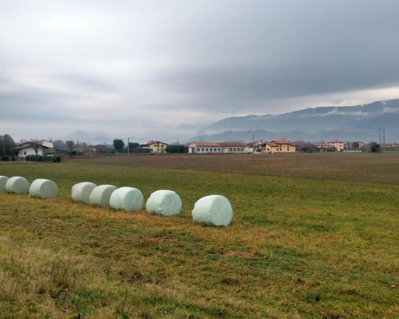 Bassanonet.it Campi di battaglia