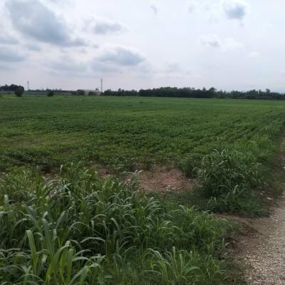 Bassanonet.it Campagna per Tutti