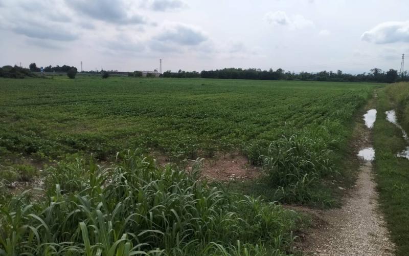 Bassanonet.it Campagna per Tutti