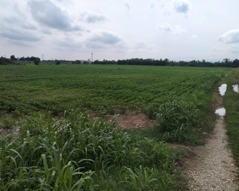 Bassanonet.it Campagna per Tutti