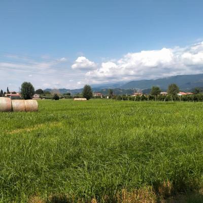Bassanonet.it Terrae motus