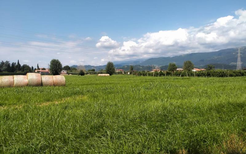 Bassanonet.it Terrae motus