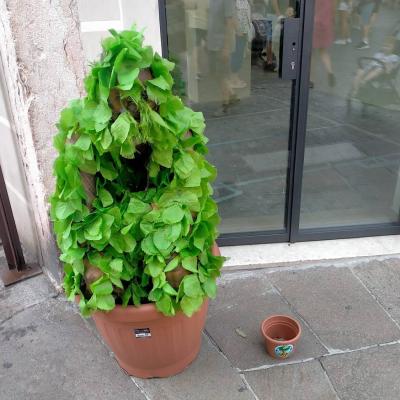 Bassanonet.it Le avventure di Siesaman
