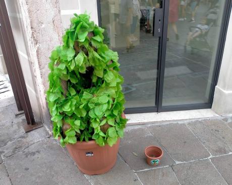 Bassanonet.it Le avventure di Siesaman