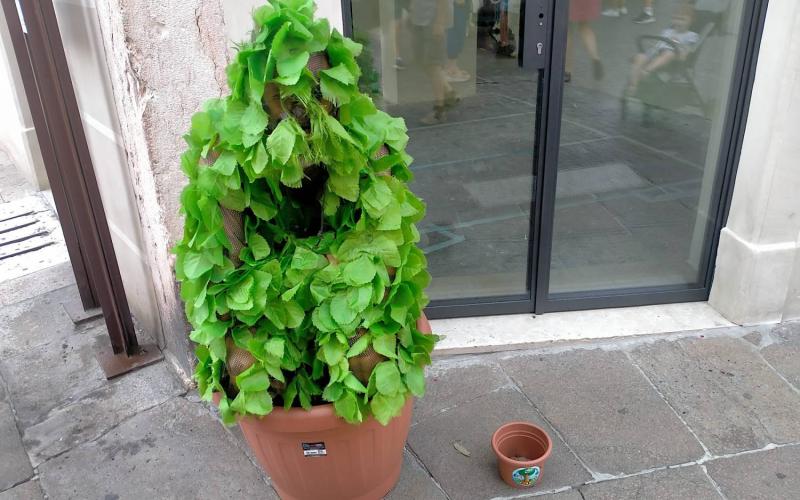 Bassanonet.it Le avventure di Siesaman