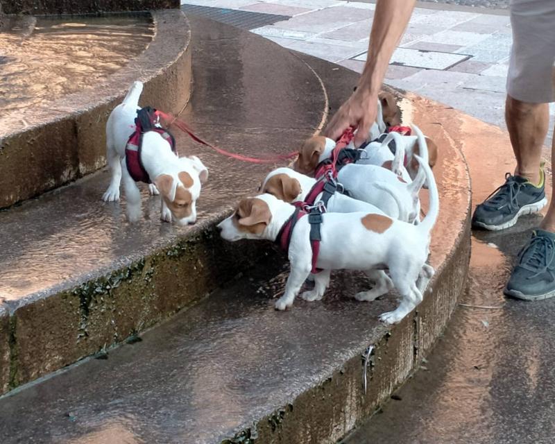 Bassanonet.it Bar Zonta