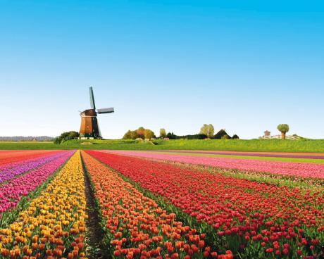 Bassanonet.it Via dei Tulipani