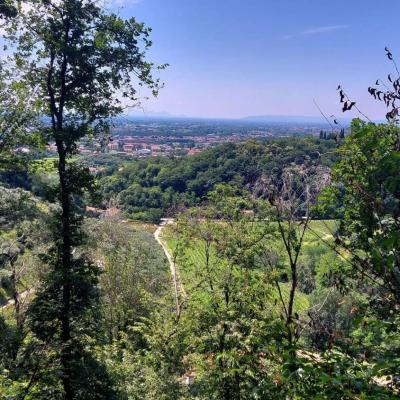 Bassanonet.it Los In Mind