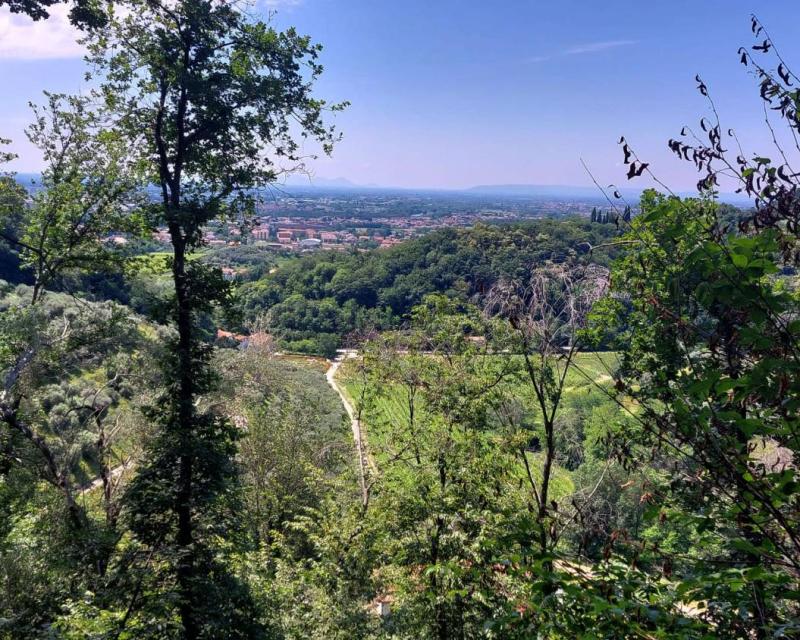 Bassanonet.it Los In Mind