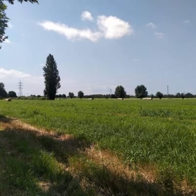 Bassanonet.it Società dei consumi