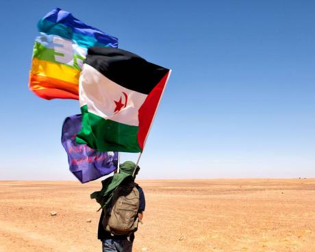 Bassanonet.it Sahara Occidentale, un conflitto dimenticato