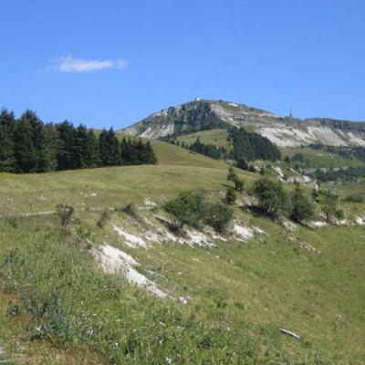 Bassanonet.it Zero Zero Grappa