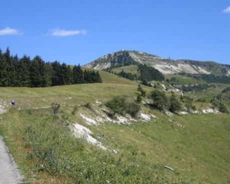 Bassanonet.it Zero Zero Grappa