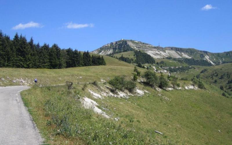 Bassanonet.it Zero Zero Grappa