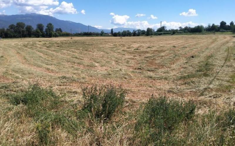 Bassanonet.it Overshoot Hotel