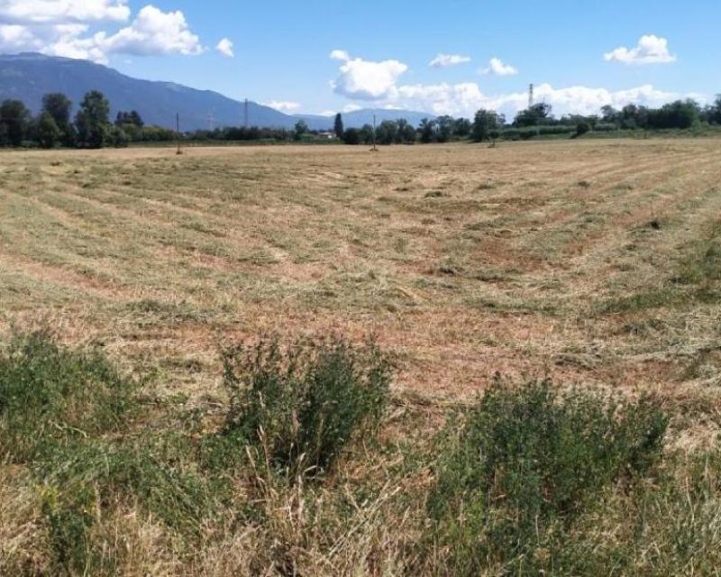 Bassanonet.it Overshoot Hotel