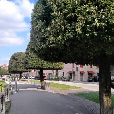Bassanonet.it Pro memoria
