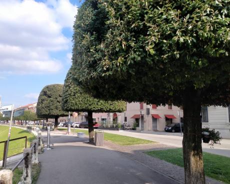 Bassanonet.it Pro memoria