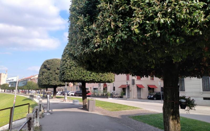 Bassanonet.it Pro memoria