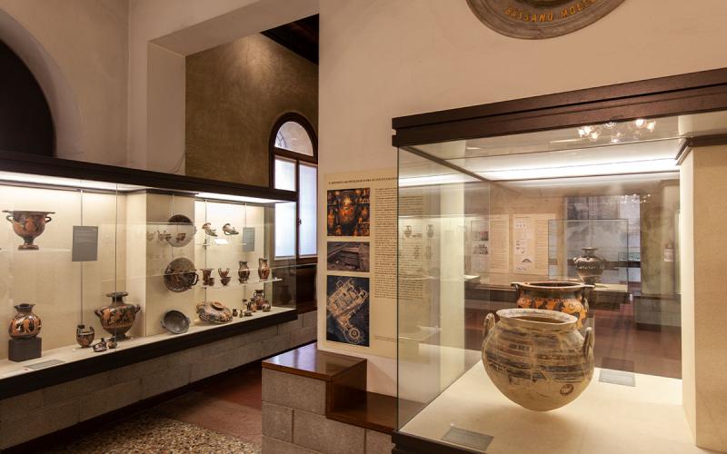 Bassanonet.it Yomo Sapiens