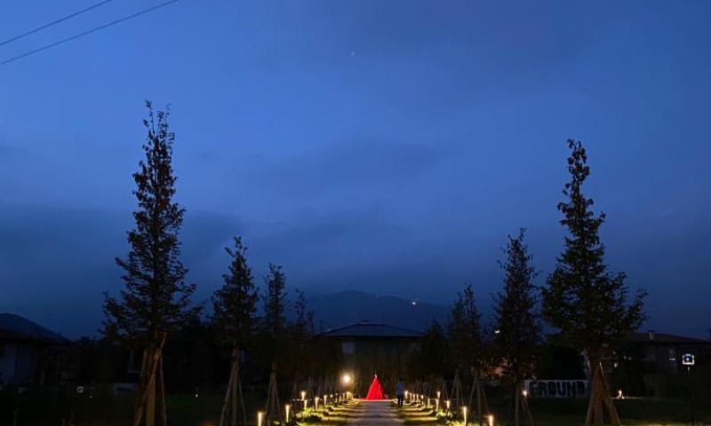 Bassanonet.it - Ailuros in <em>Specie estinte</em>