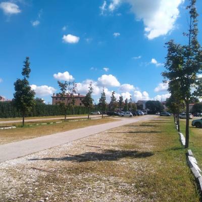 Bassanonet.it Gratis et amore Dei