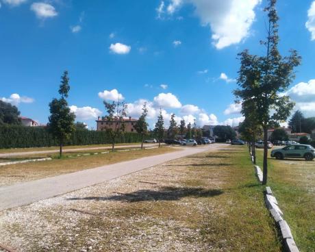 Bassanonet.it Gratis et amore Dei