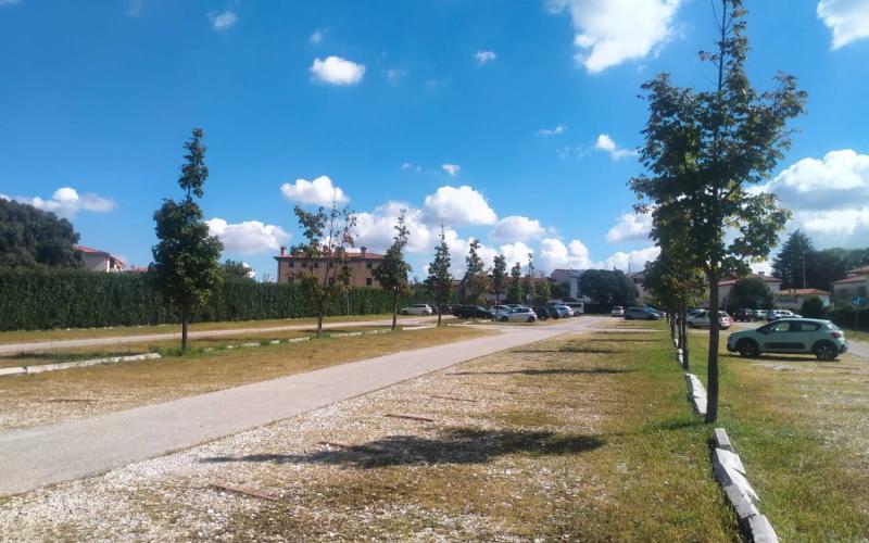 Bassanonet.it Gratis et amore Dei