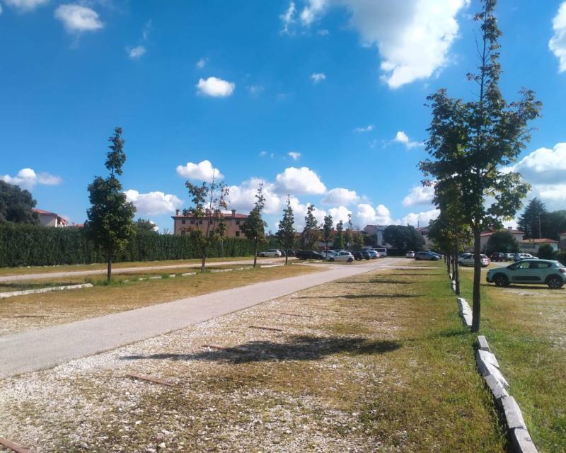 Bassanonet.it Gratis et amore Dei