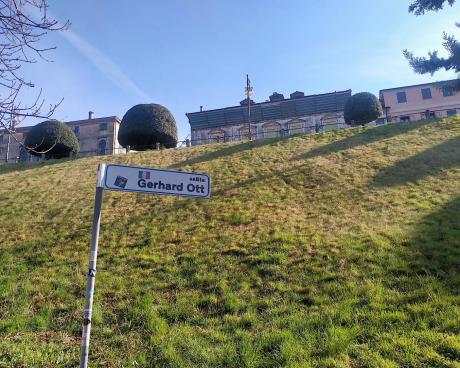 Bassanonet.it Salita Prezzi