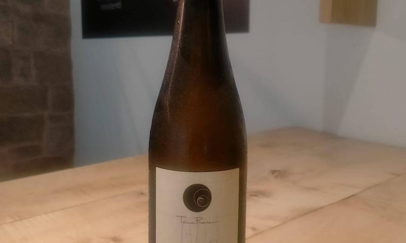Bassanonet.it -
