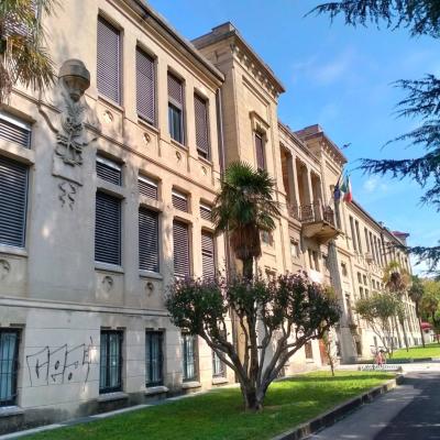 Bassanonet.it Consulenza Primaria