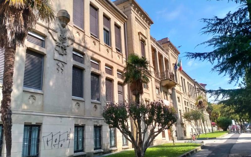 Bassanonet.it Consulenza Primaria