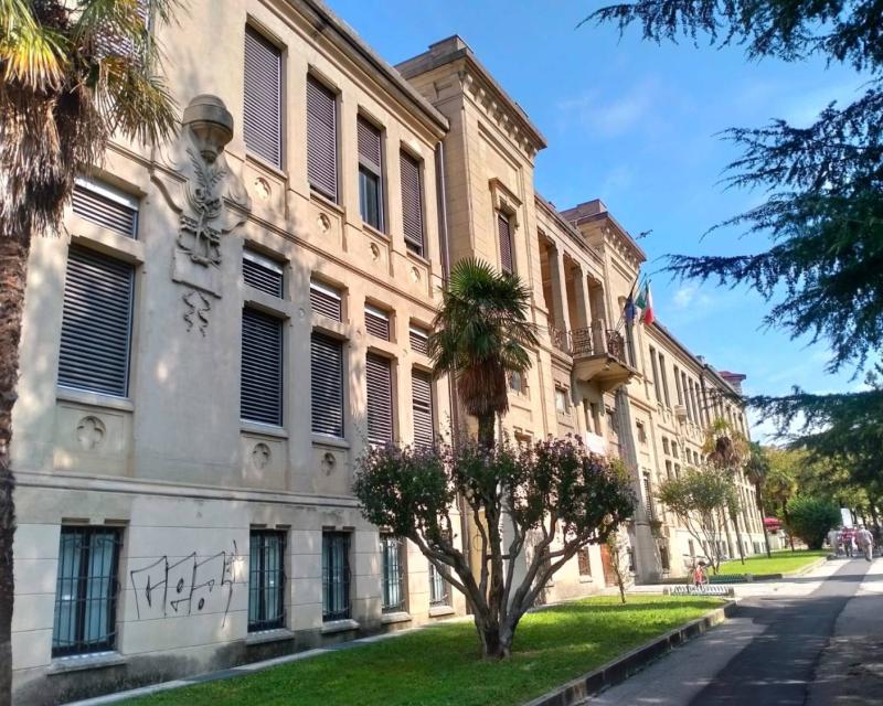 Bassanonet.it Consulenza Primaria