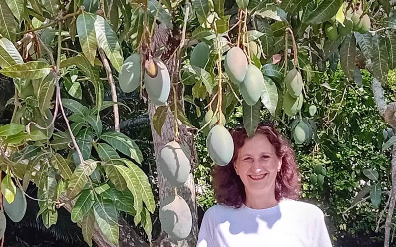 Bassanonet.it Colombia Pictures