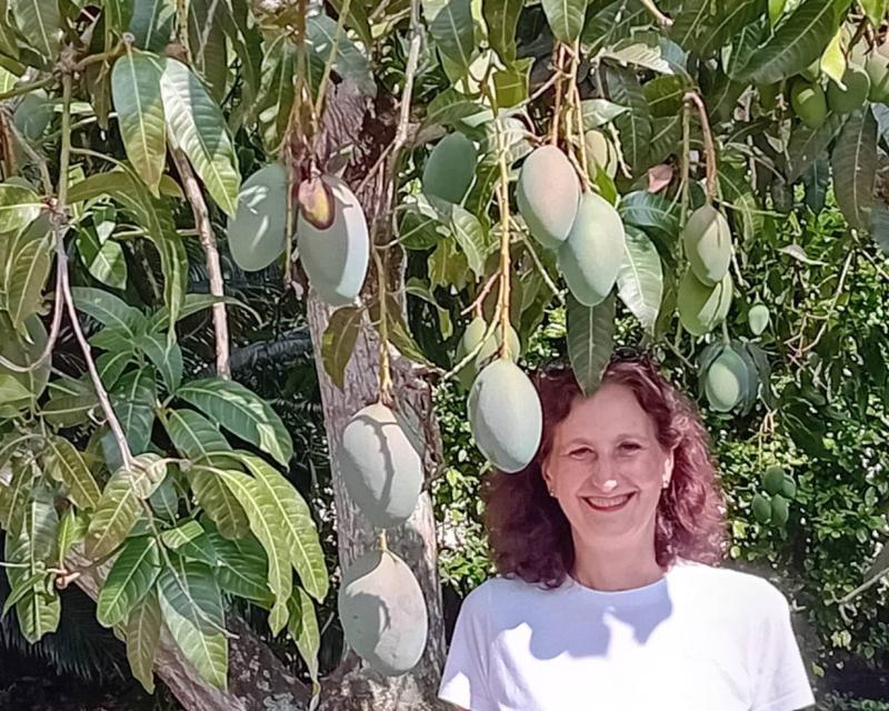 Bassanonet.it Colombia Pictures