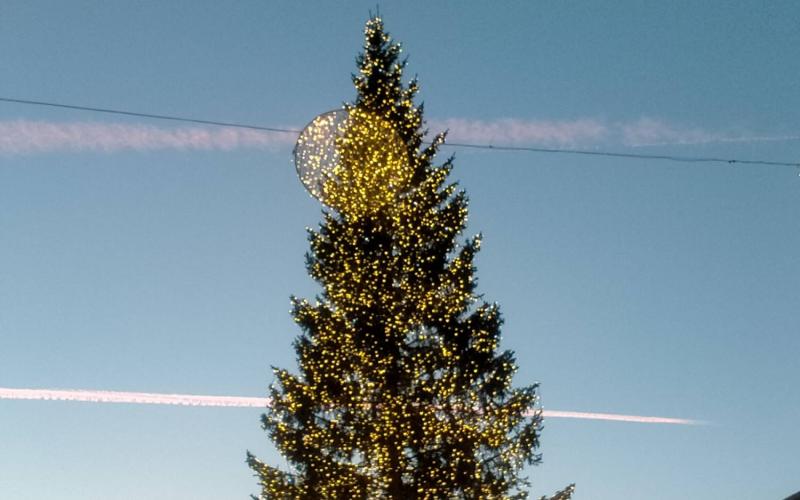 Bassanonet.it Tregua di Natale