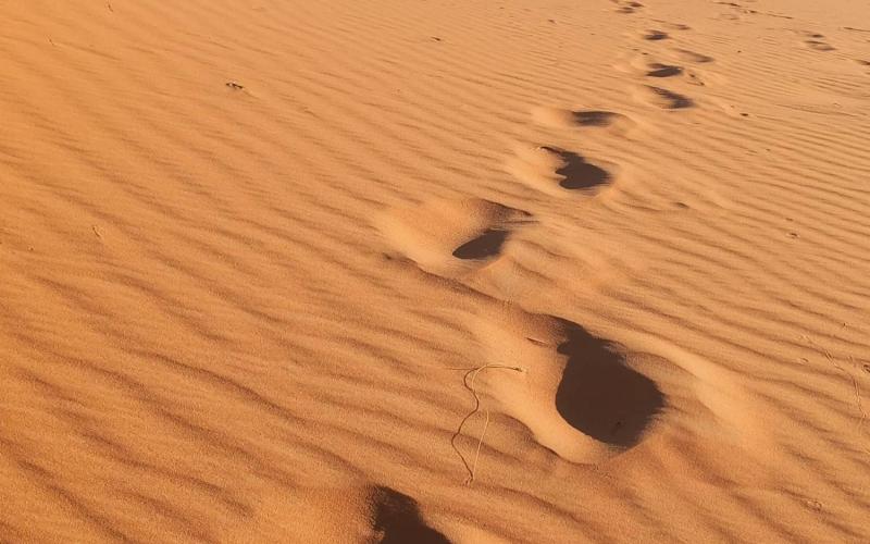 Bassanonet.it Avvento del Sahara