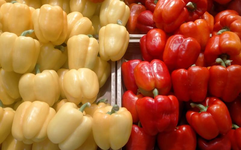 Bassanonet.it Politica Giallorossa