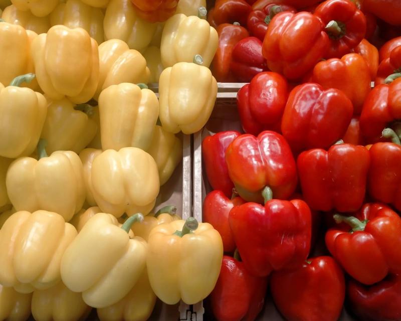 Bassanonet.it Politica Giallorossa