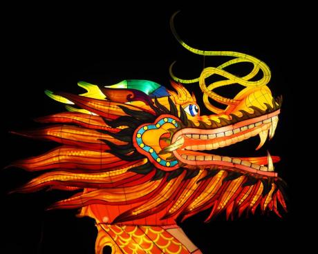 Bassanonet.it L'anno del Drago