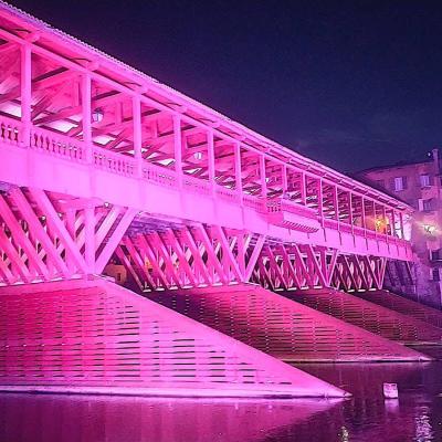 Bassanonet.it Barbie Bridge