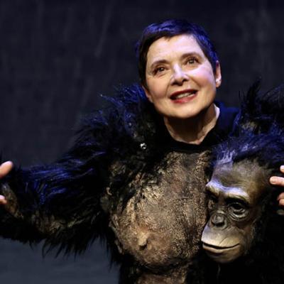 Bassanonet.it Al Remondini, arriva <em>Darwin's Smile</em>